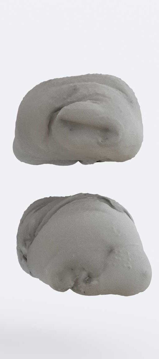 Sesame Bread Photogrammetry 3D model_8