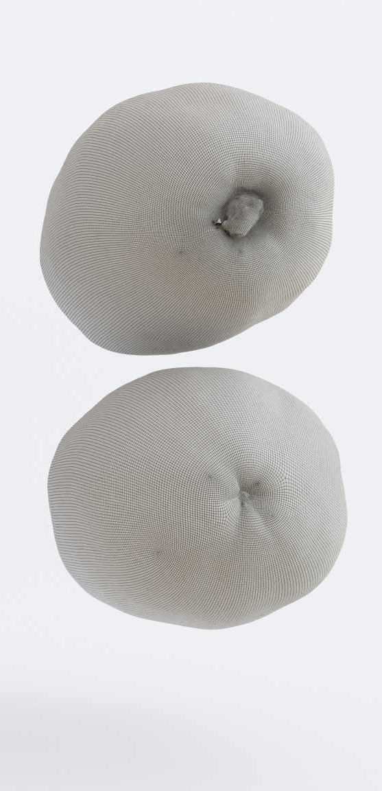 Papaya Photogrammetry 3D model_8