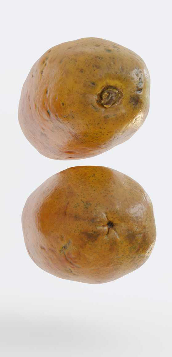 Papaya Photogrammetry 3D model_7