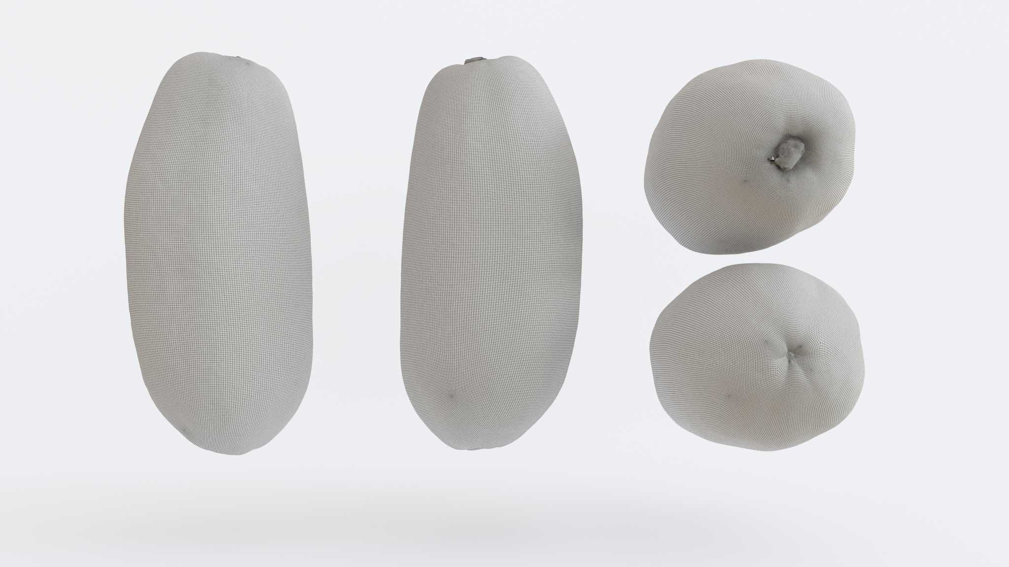 Papaya Photogrammetry 3D model_2