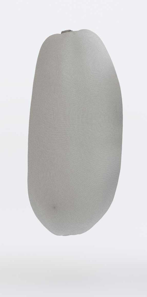 Papaya Photogrammetry 3D model_6