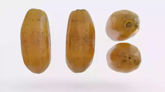 Papaya Photogrammetry