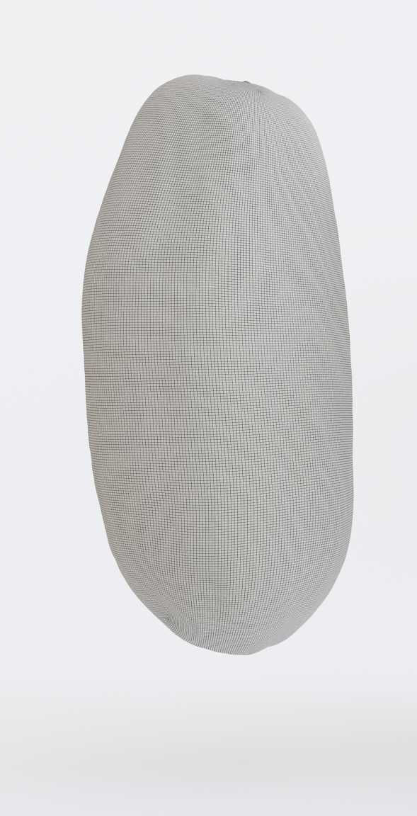 Papaya Photogrammetry 3D model_4