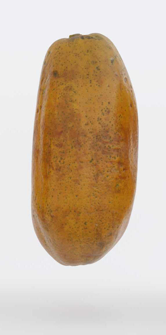 Papaya Photogrammetry 3D model_5