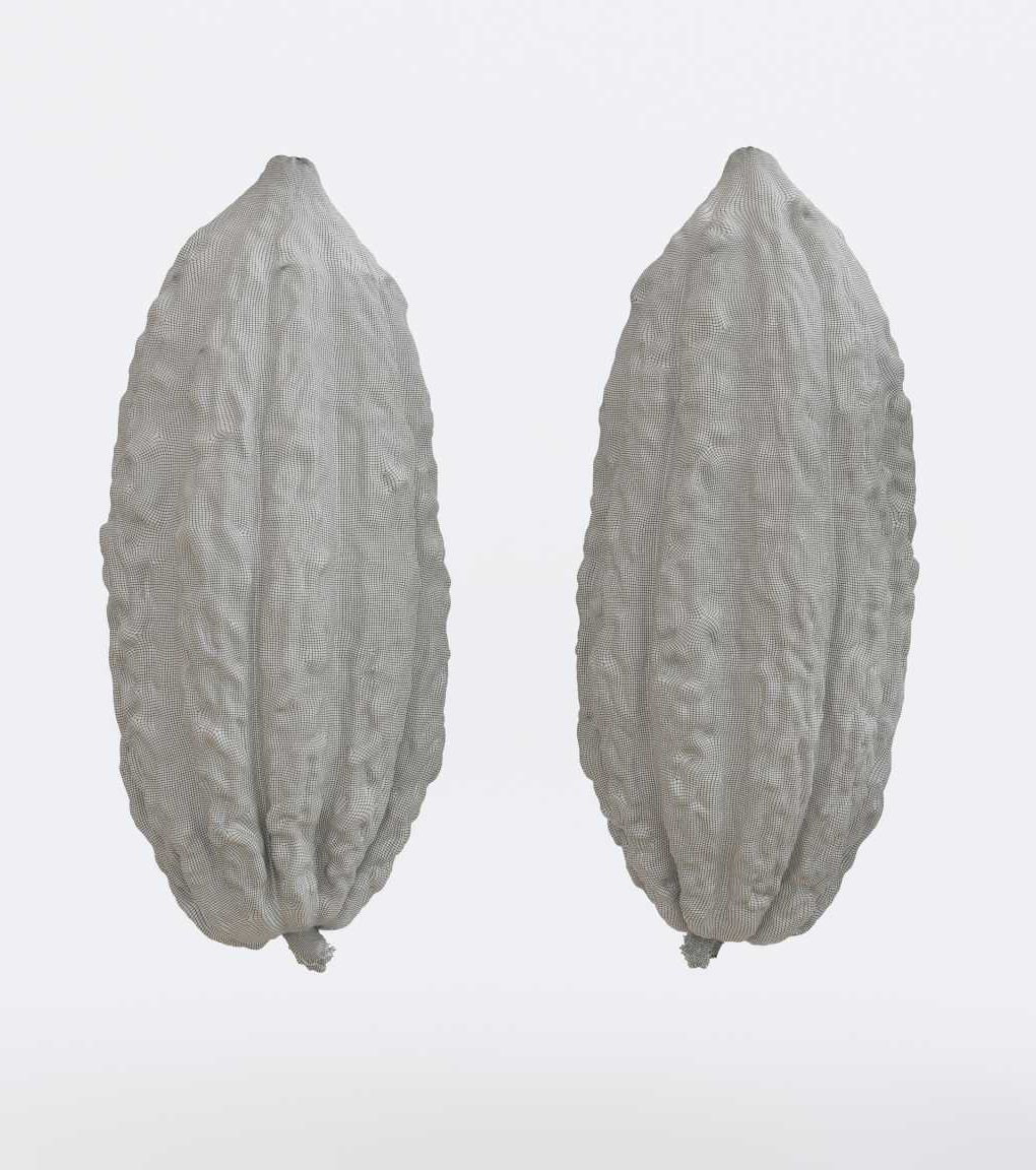 Cocoa v1 Photogrammetry 3D model_4