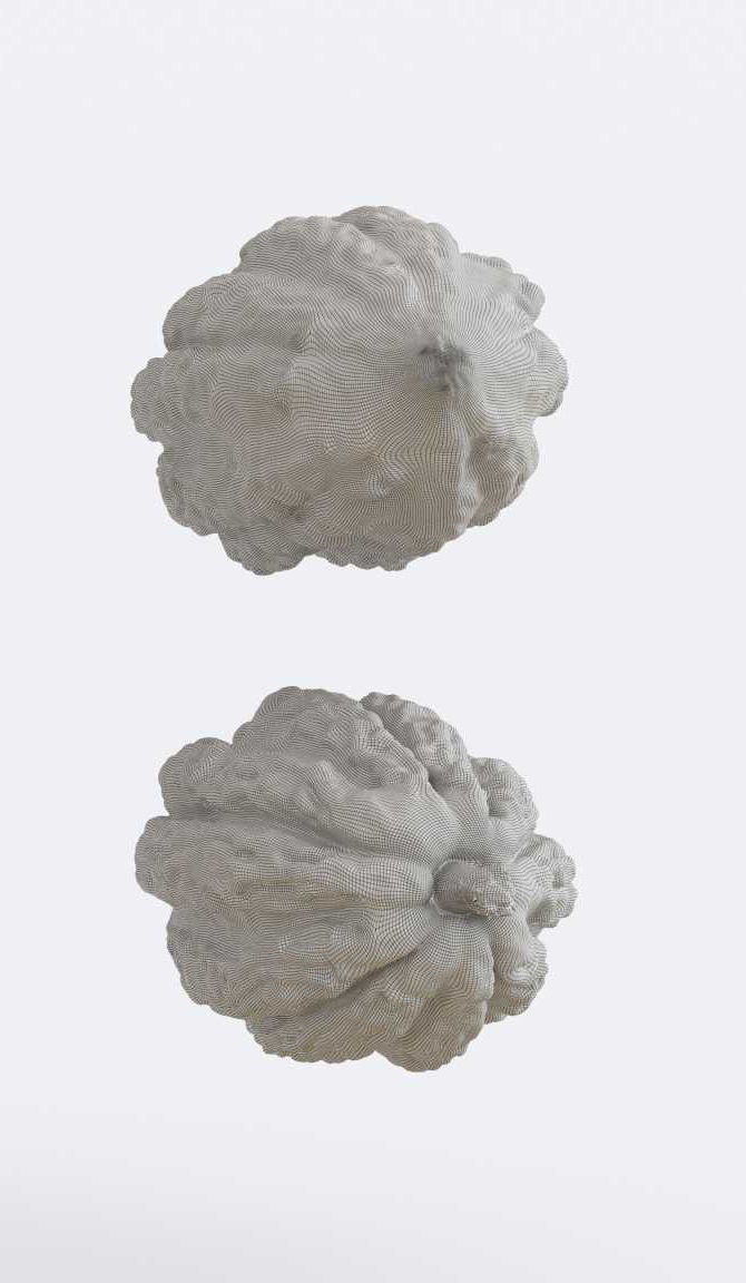 Cocoa v1 Photogrammetry 3D model_6