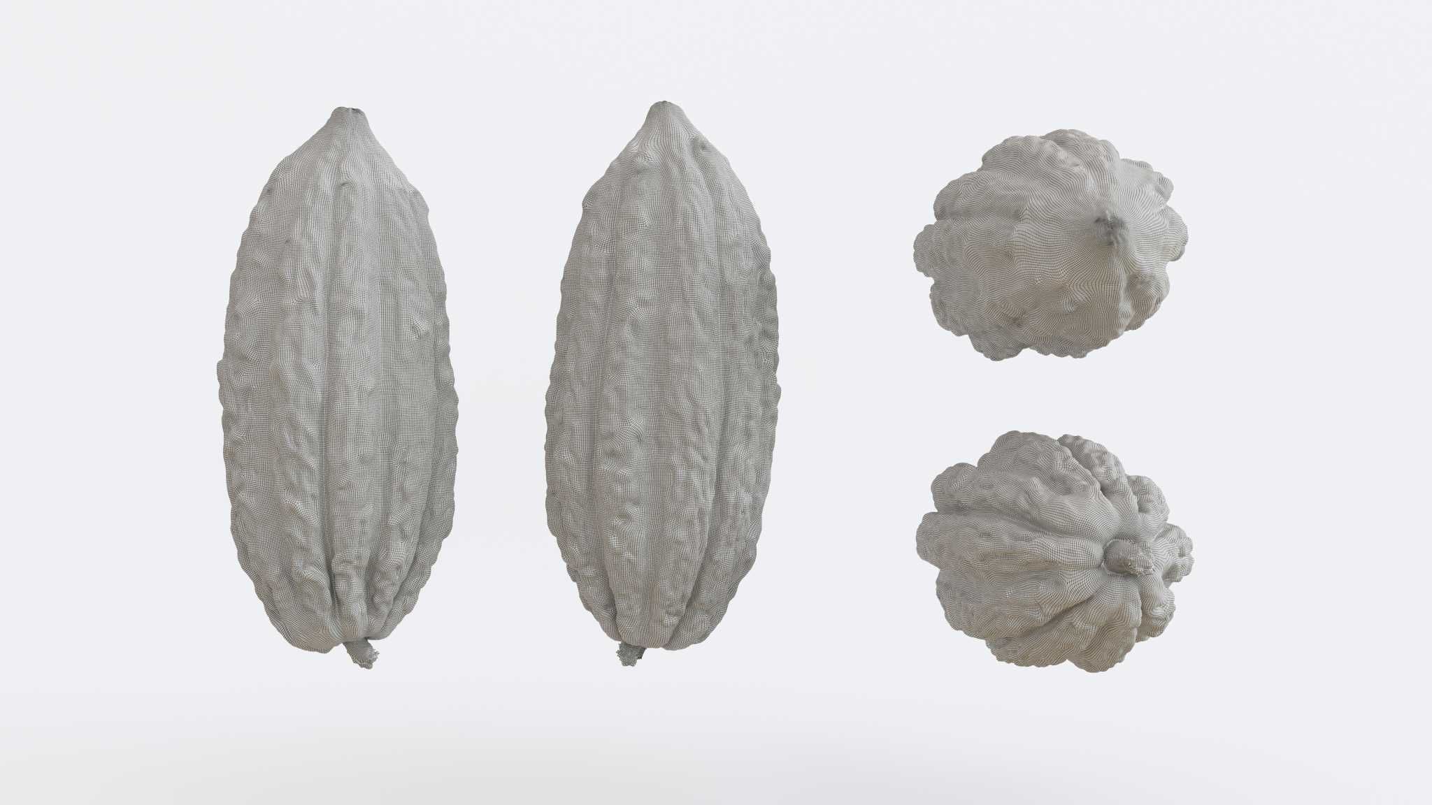 Cocoa v1 Photogrammetry 3D model_2