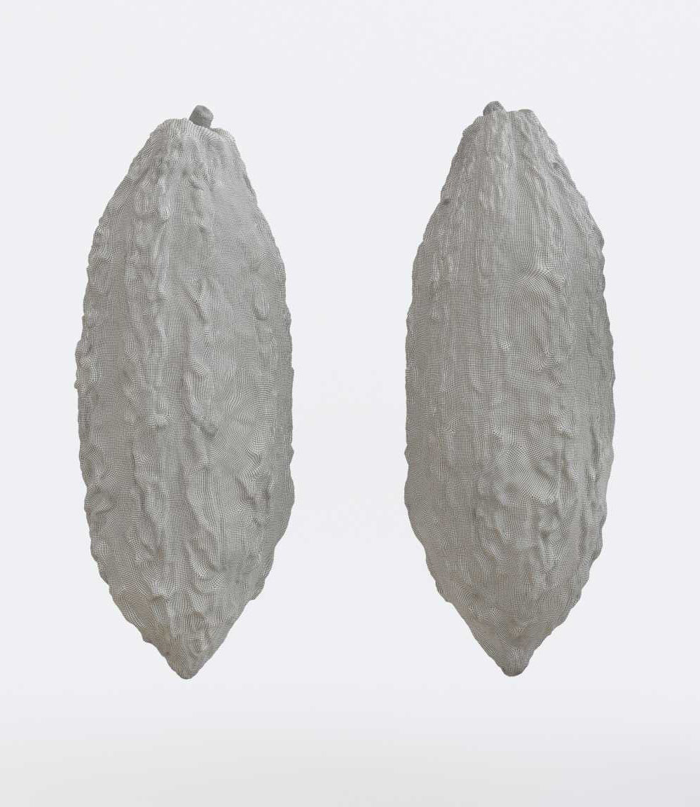 Cocoa v2 Photogrammetry 3D model_4