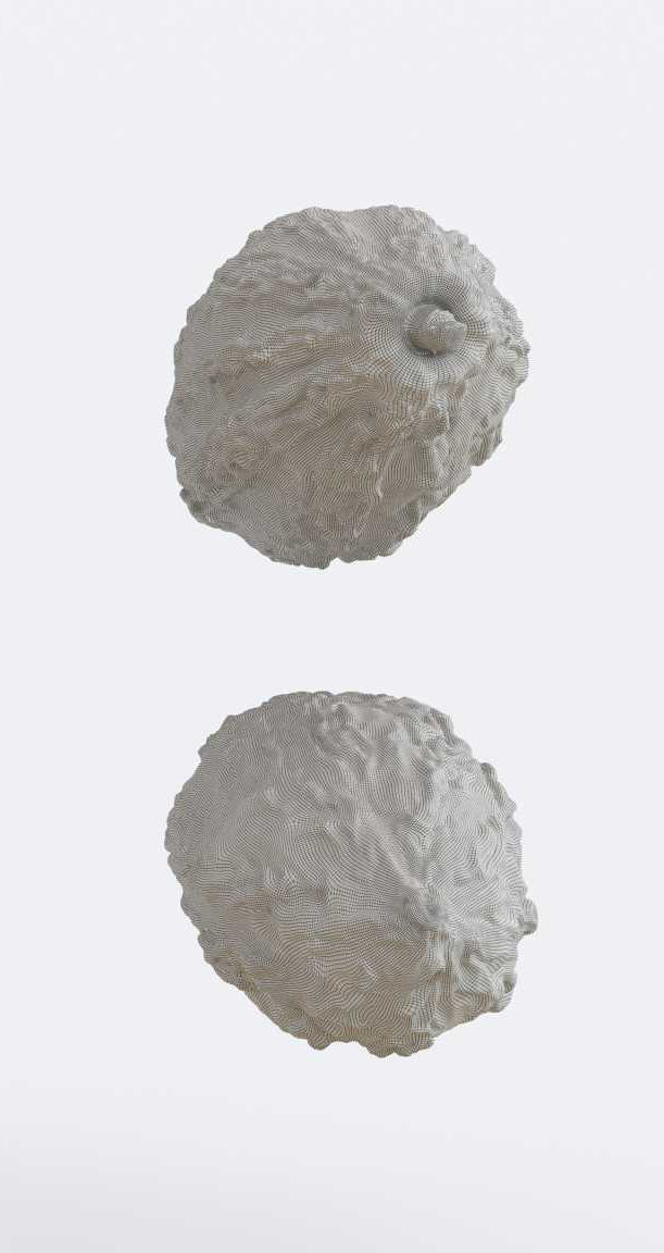 Cocoa v2 Photogrammetry 3D model_6