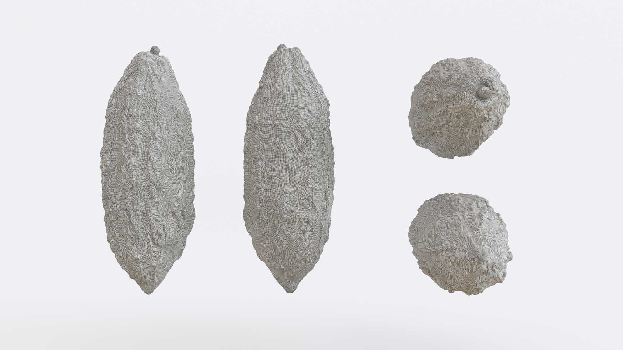 Cocoa v2 Photogrammetry 3D model_2