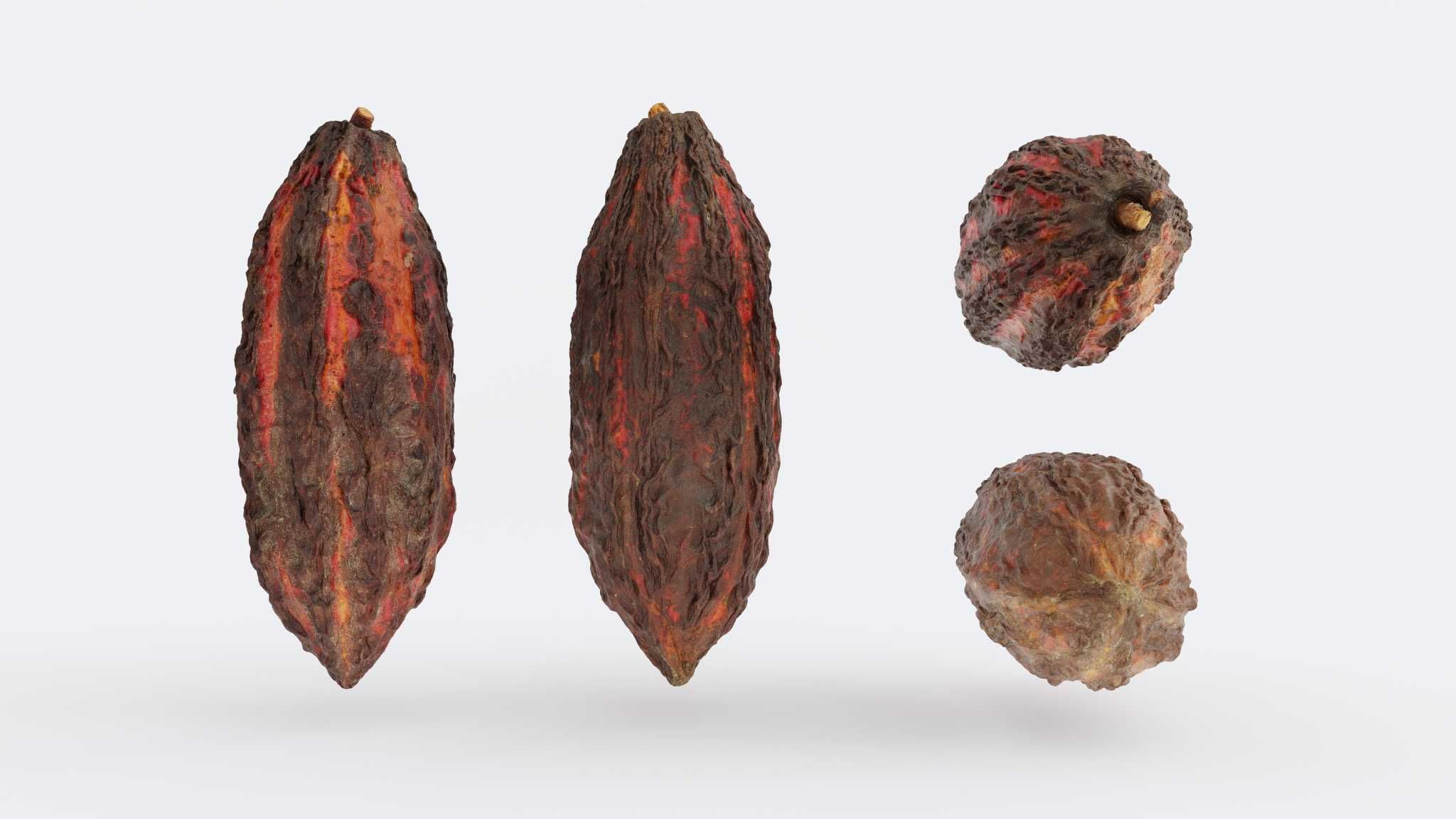 Cocoa v2 Photogrammetry 3D model_0