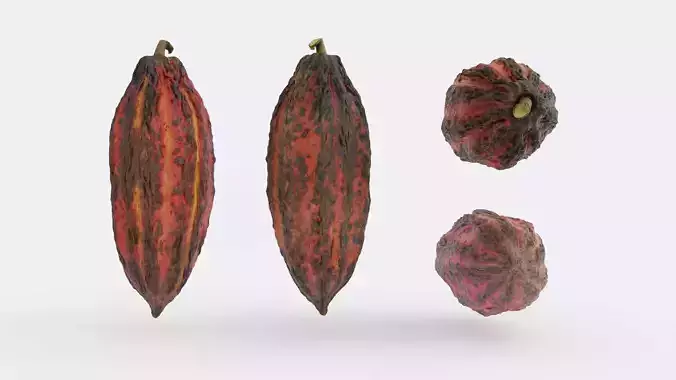 Cocoa v3 Photogrammetry