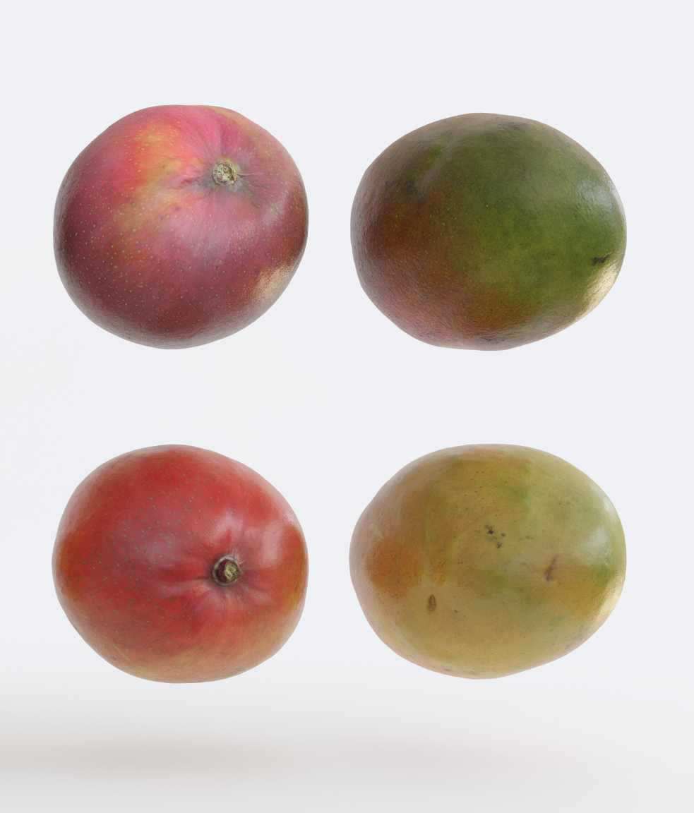 Mango set Photogrammetry 3D model_5
