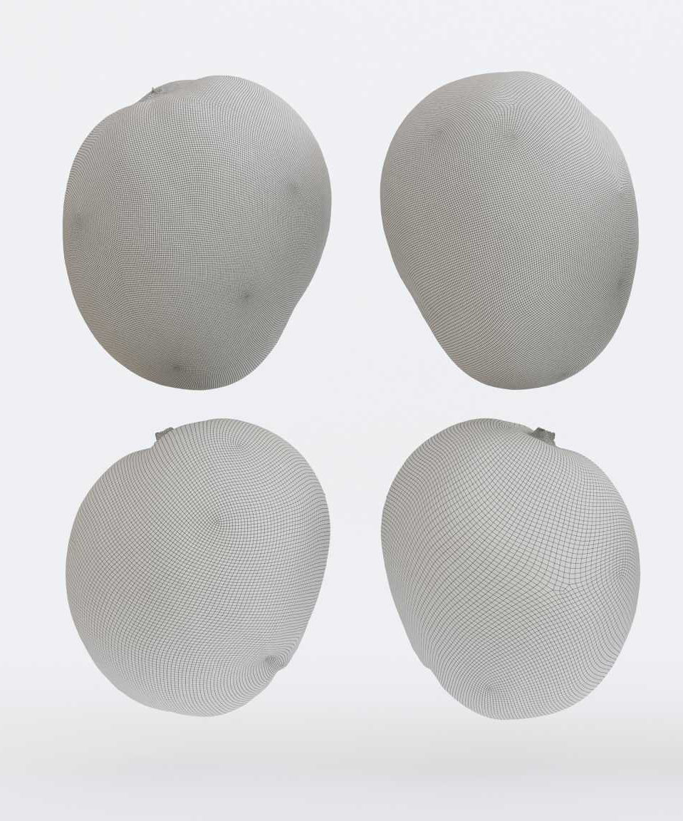 Mango set Photogrammetry 3D model_4