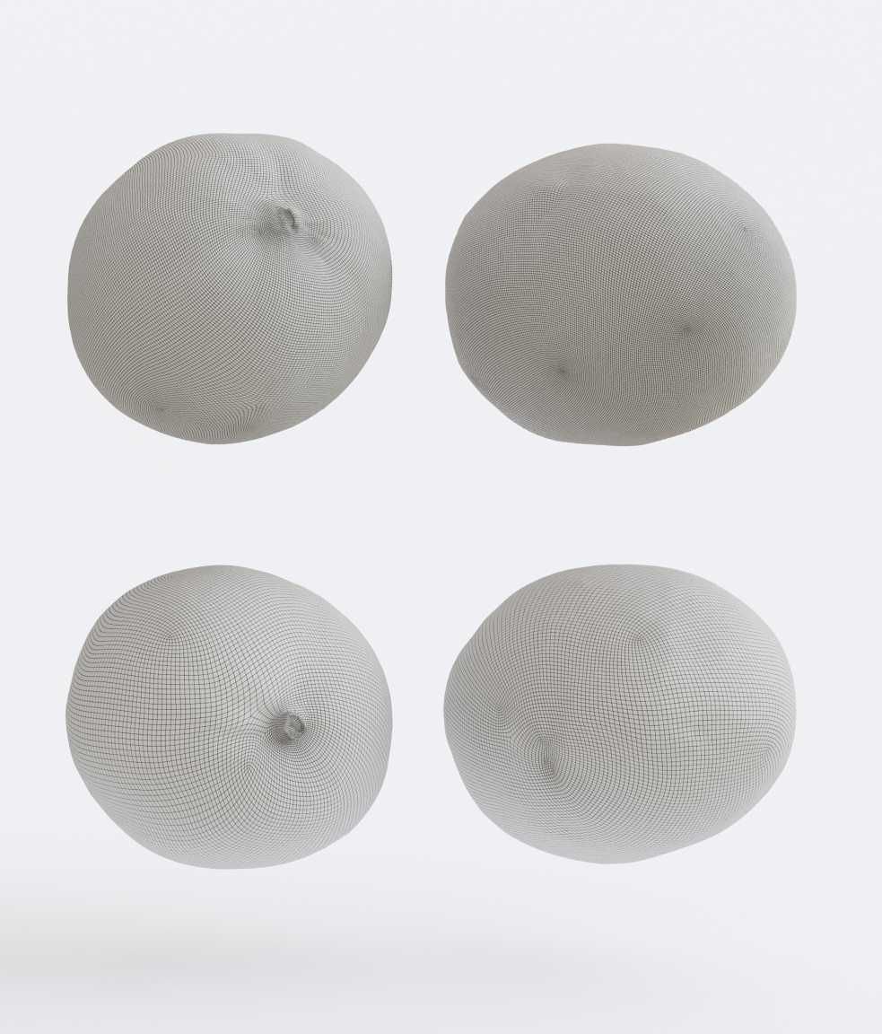 Mango set Photogrammetry 3D model_6