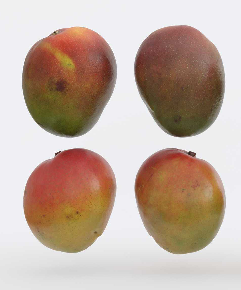 Mango set Photogrammetry 3D model_3