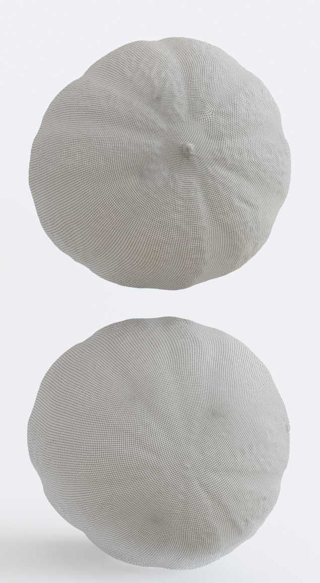 Melon Photogrammetry 3D model_6