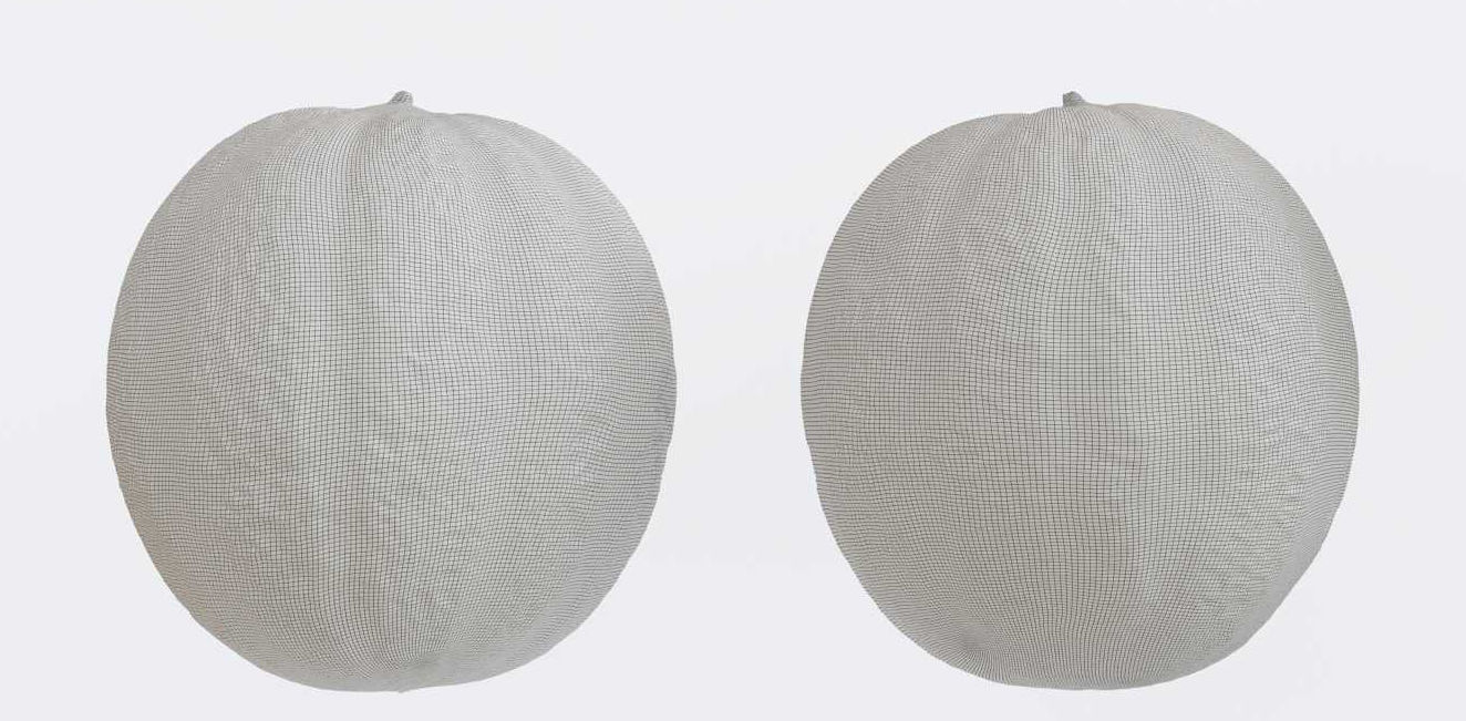 Melon Photogrammetry 3D model_4