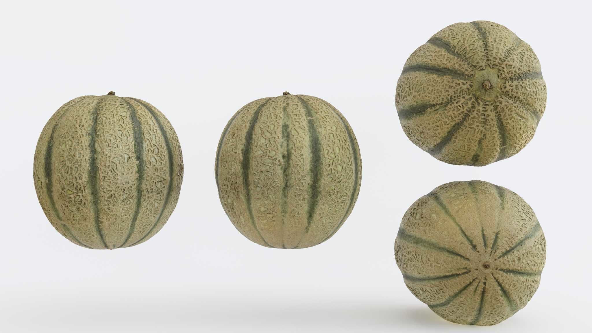Melon Photogrammetry 3D model_0
