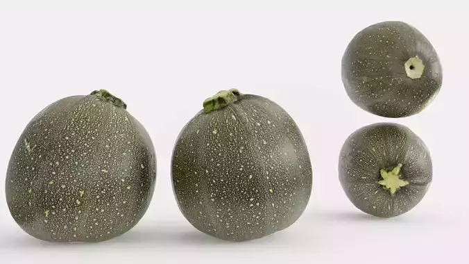 Zucchini Photogrammetry