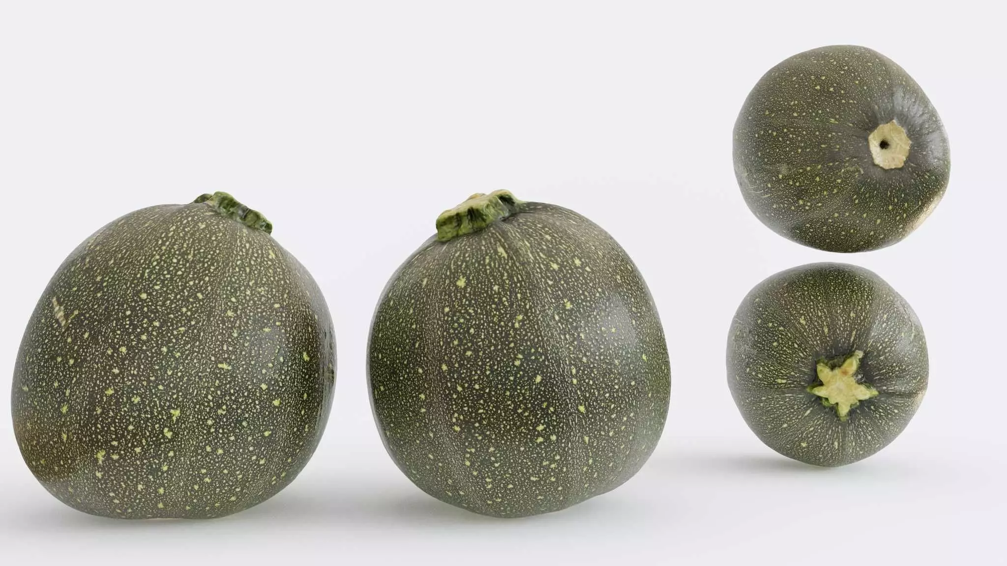 Zucchini Photogrammetry 3D model_0