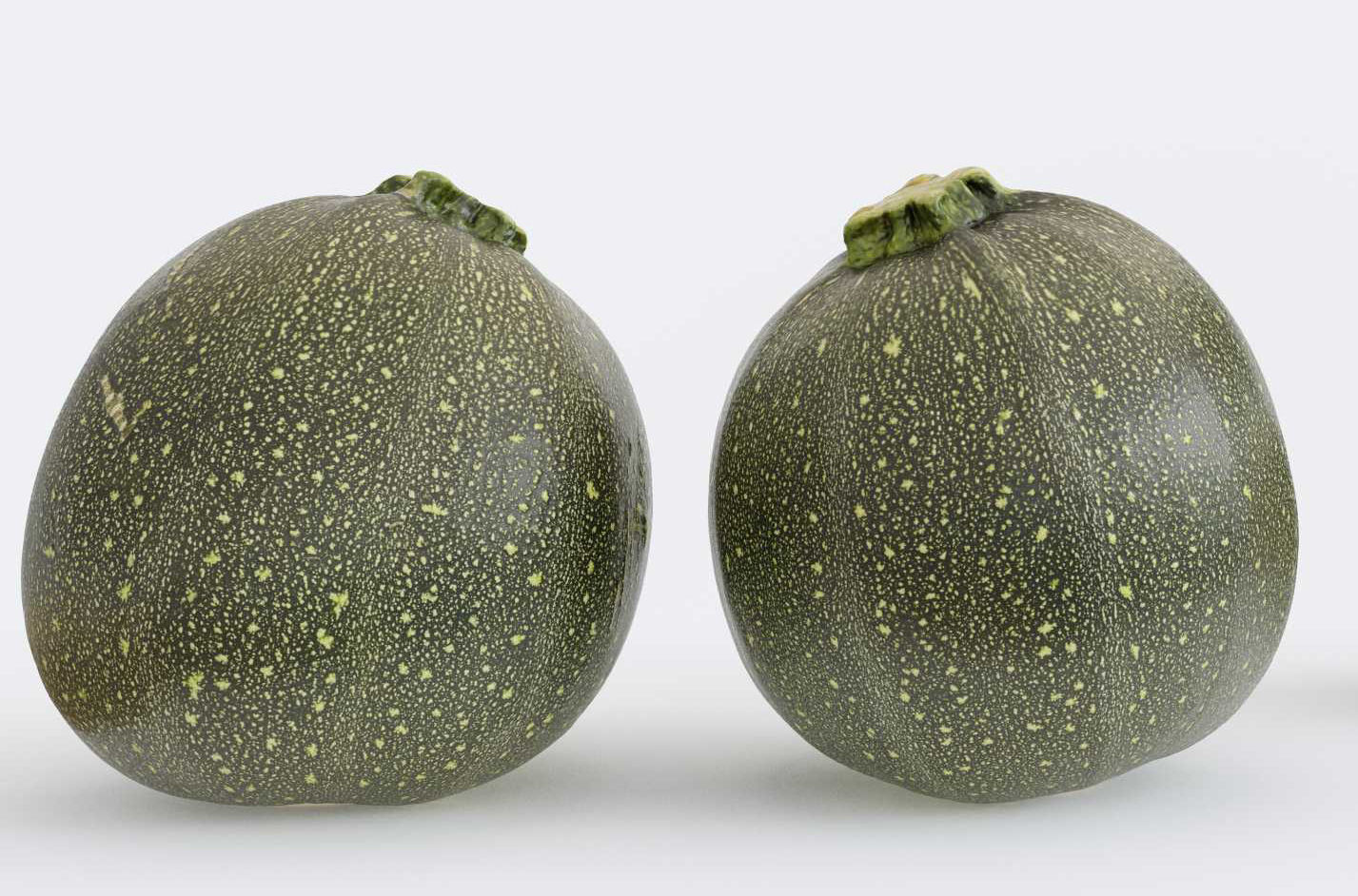 Zucchini Photogrammetry 3D model_3