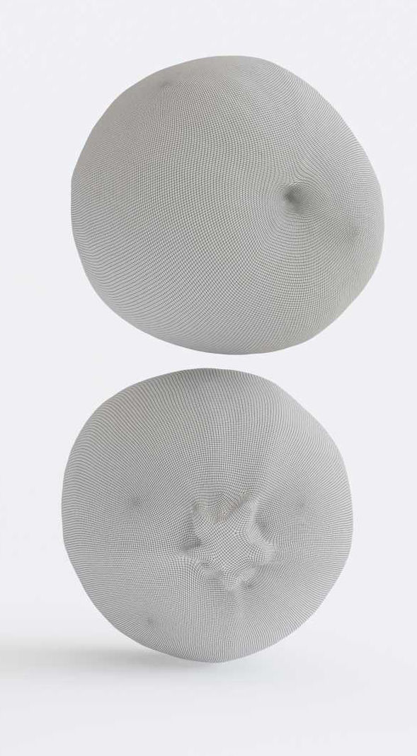 Zucchini Photogrammetry 3D model_6