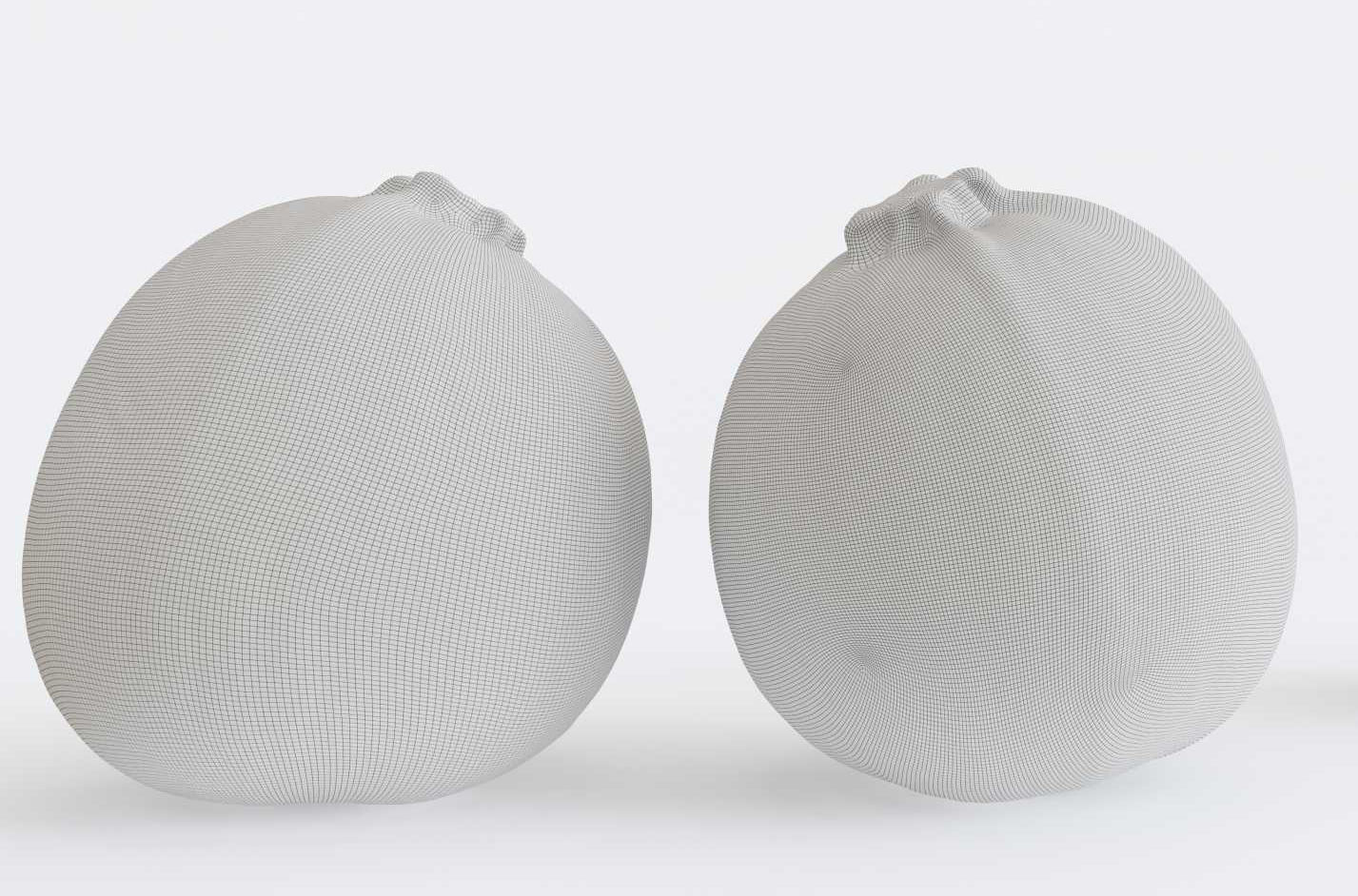 Zucchini Photogrammetry 3D model_4