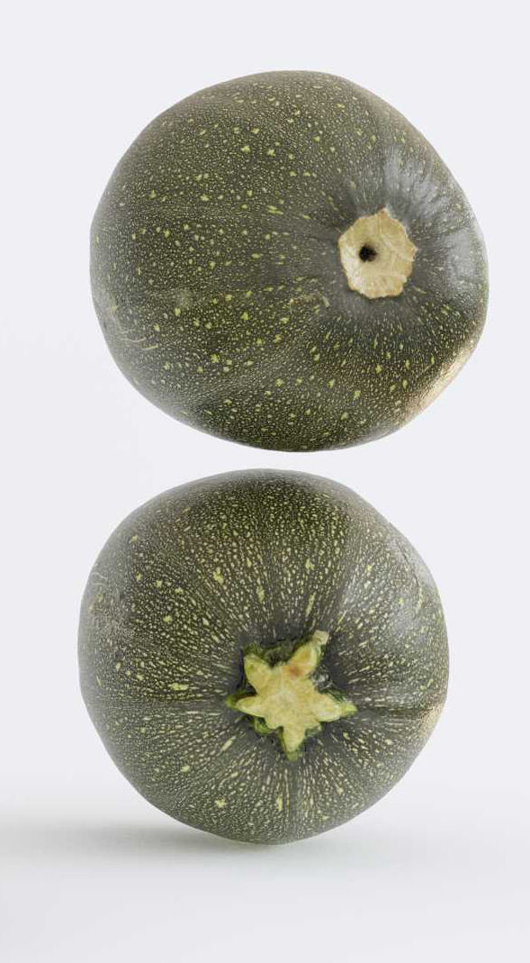 Zucchini Photogrammetry 3D model_5
