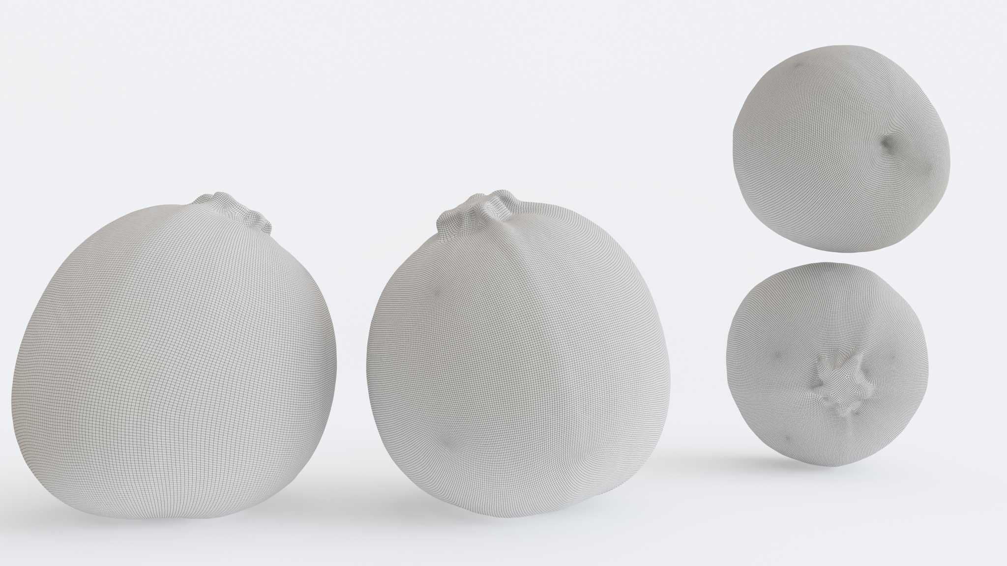 Zucchini Photogrammetry 3D model_2