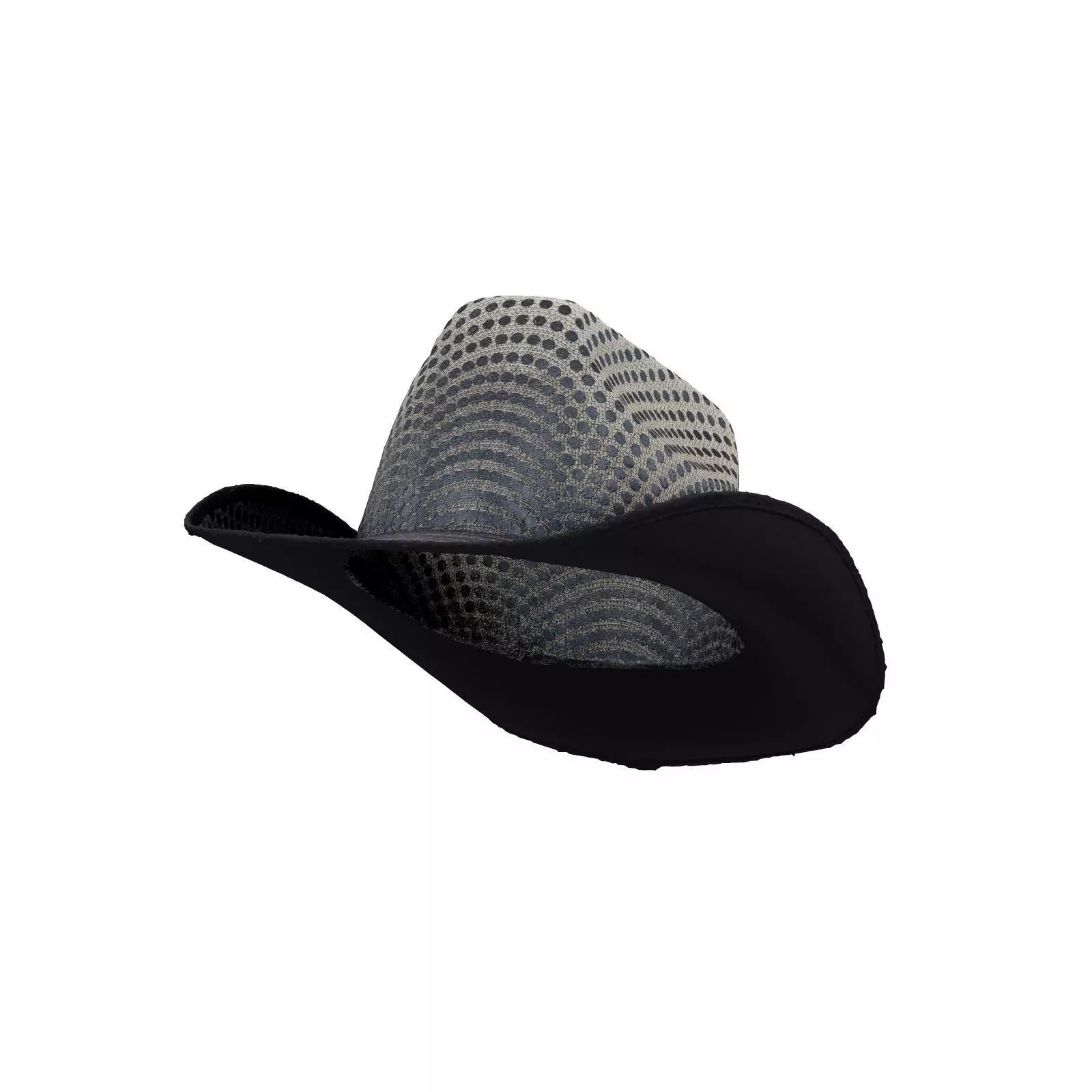 Dot Cowboy Hat 3D model_0