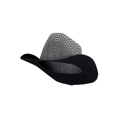 Dot Cowboy Hat 3D model