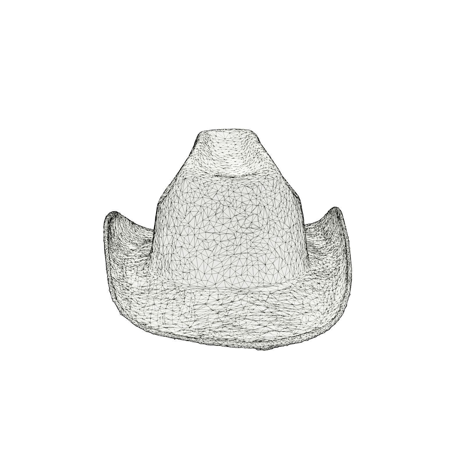 Dot Cowboy Hat 3D model_7