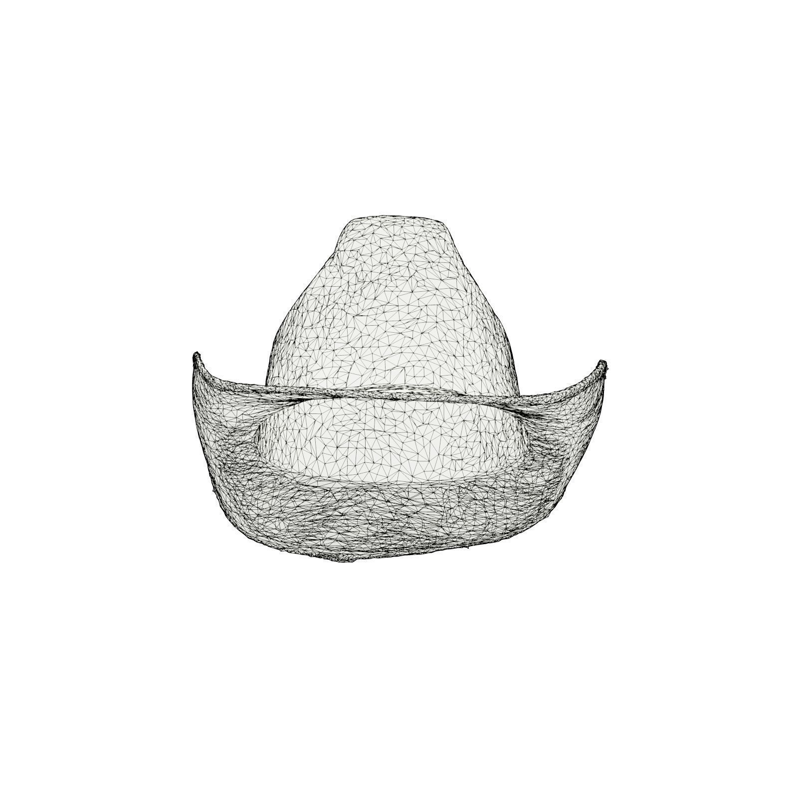 Dot Cowboy Hat 3D model_6