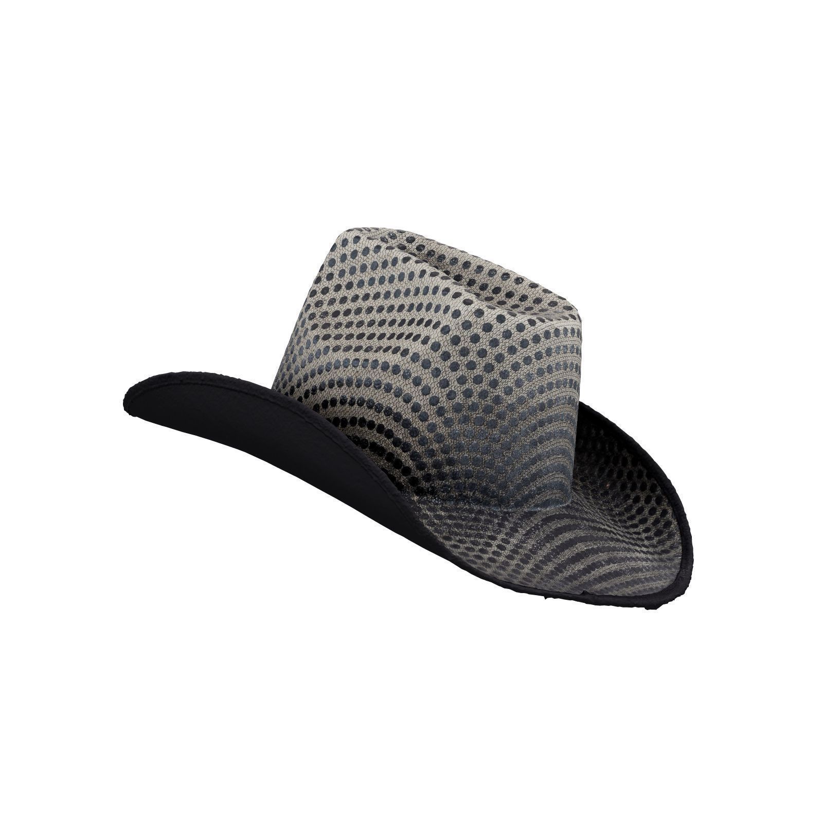 Dot Cowboy Hat 3D model_1