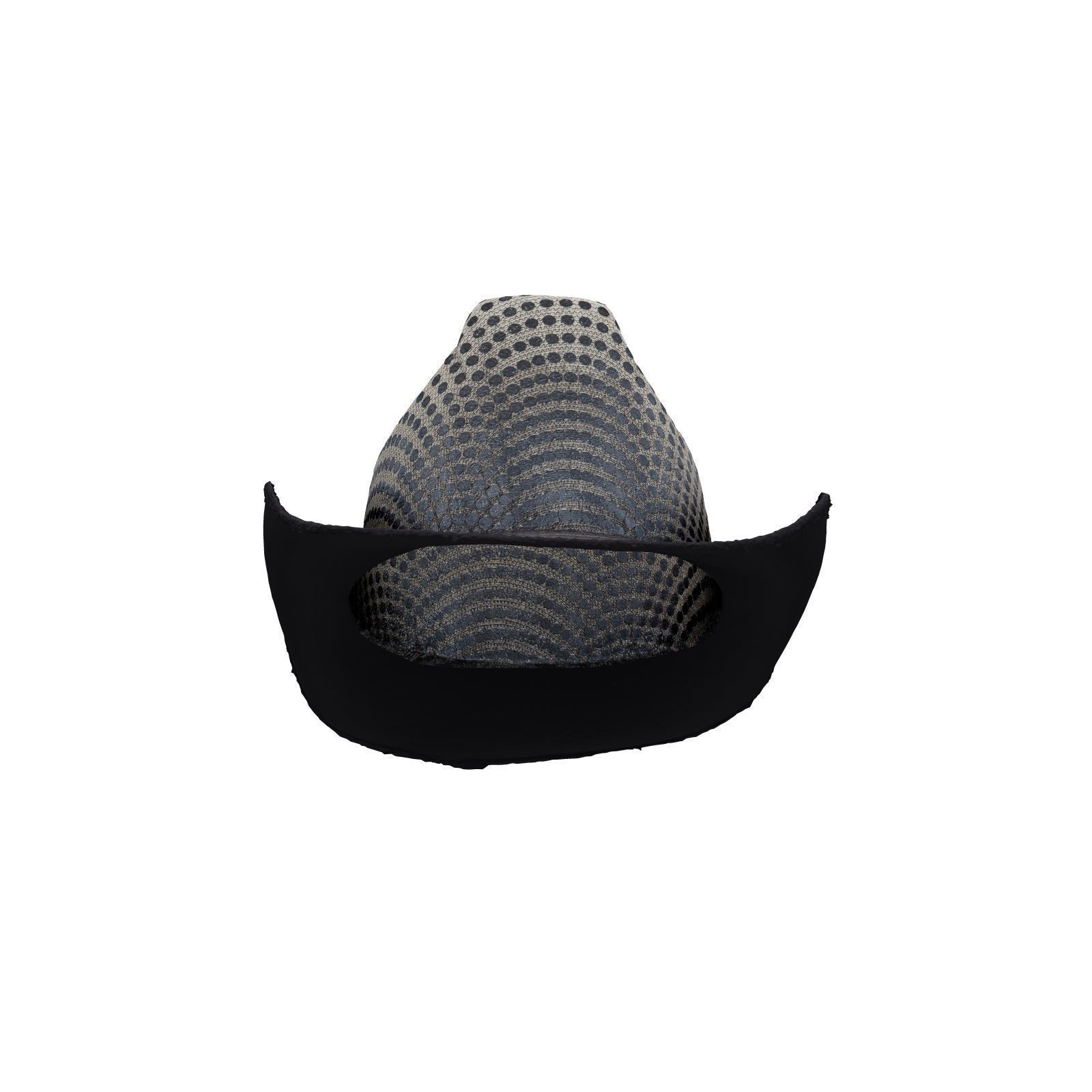Dot Cowboy Hat 3D model_2