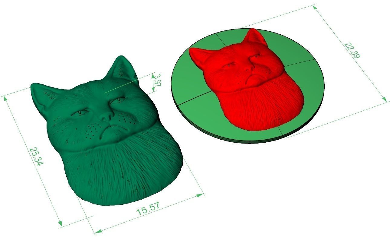 sad and angry cat bas-relief 3D print model_2