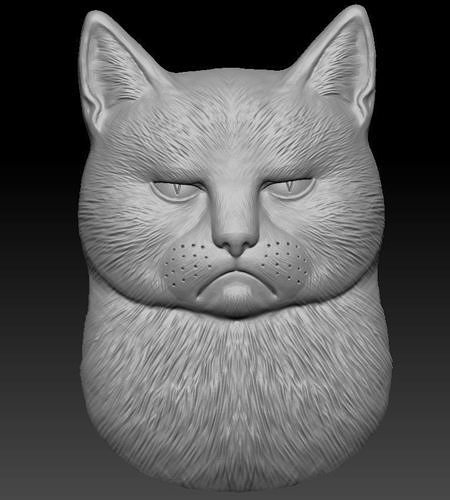sad and angry cat bas-relief 3D print model