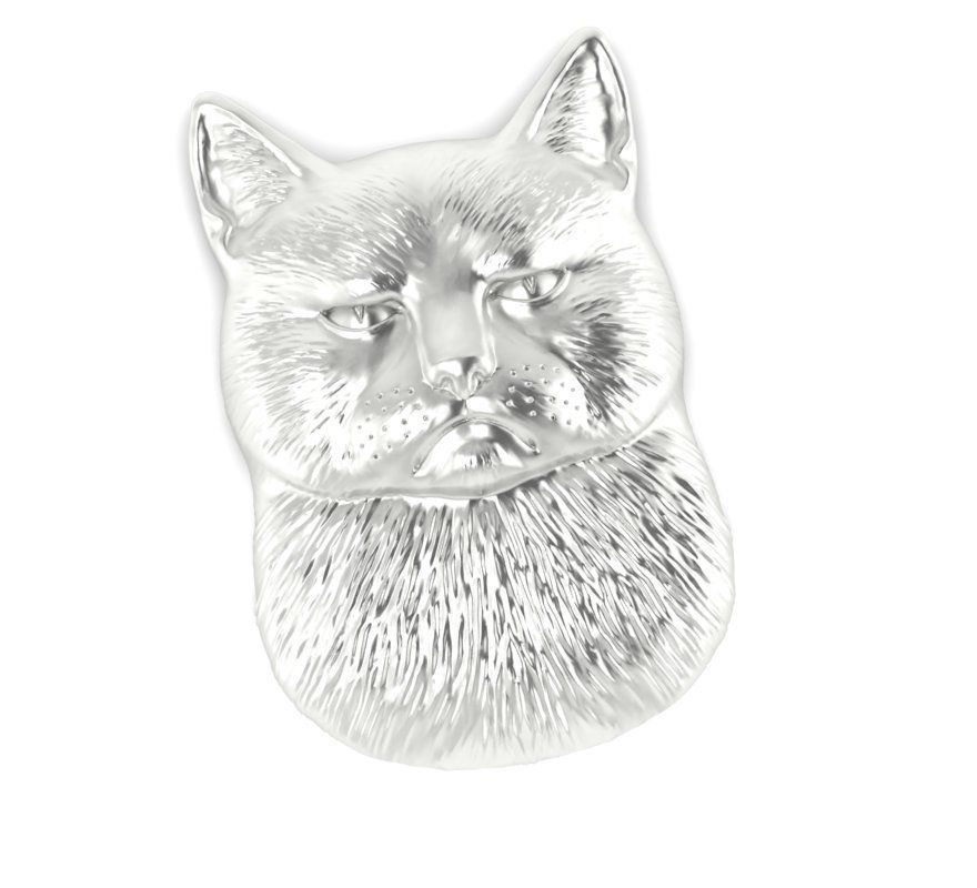 sad and angry cat bas-relief 3D print model_3