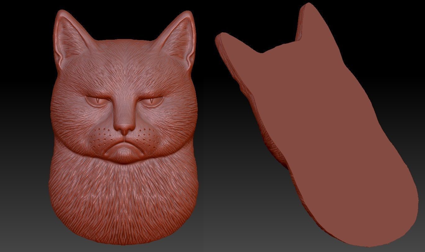 sad and angry cat bas-relief 3D print model_5