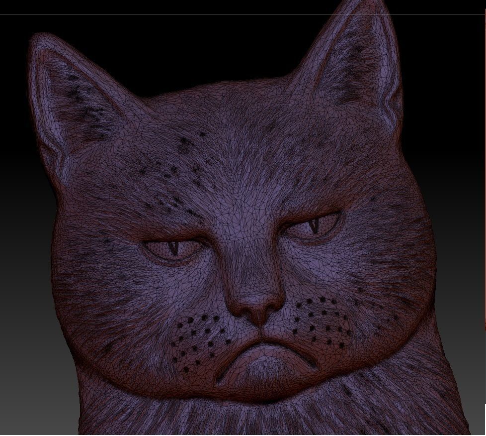 sad and angry cat bas-relief 3D print model_9