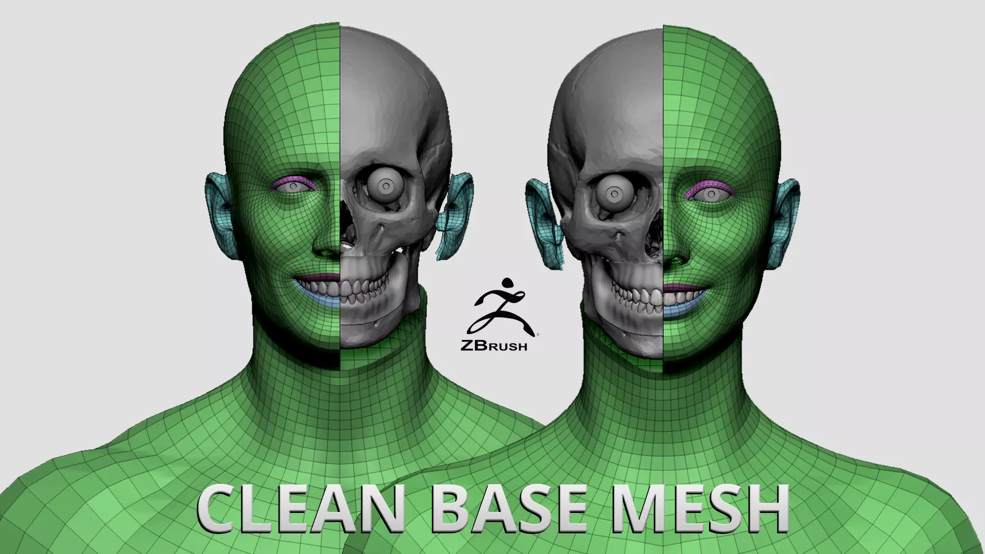 Clean Base Mesh 3D model