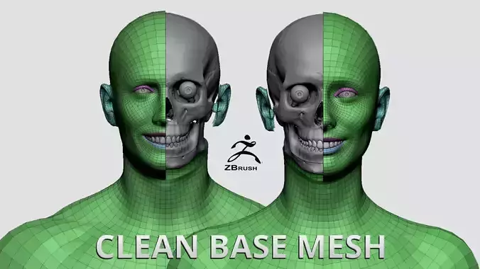 Clean Base Mesh