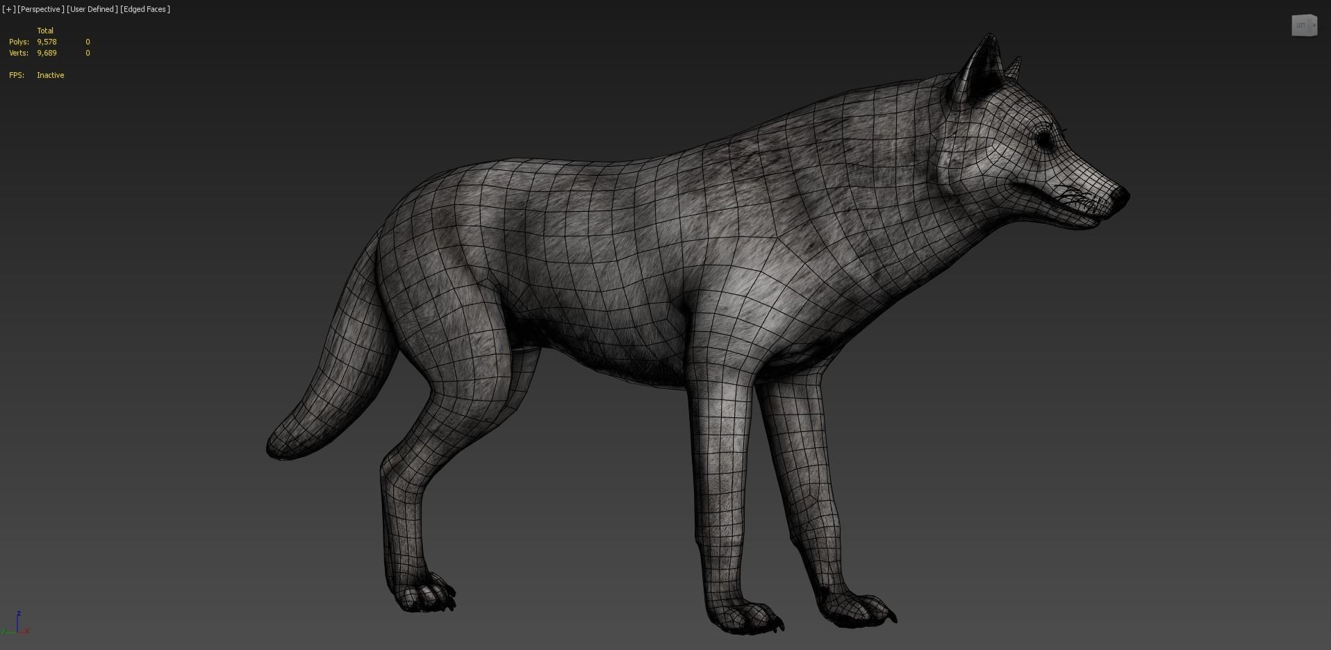 Wolf Realistic 3D model_9