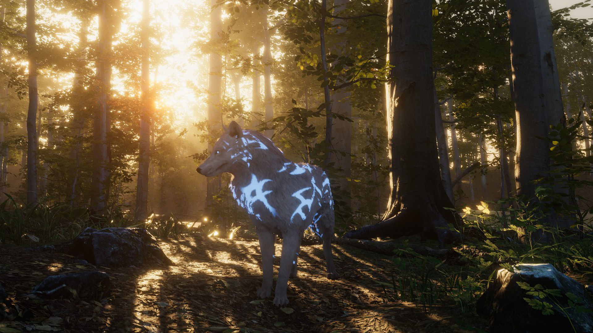 Wolf Realistic 3D model_7