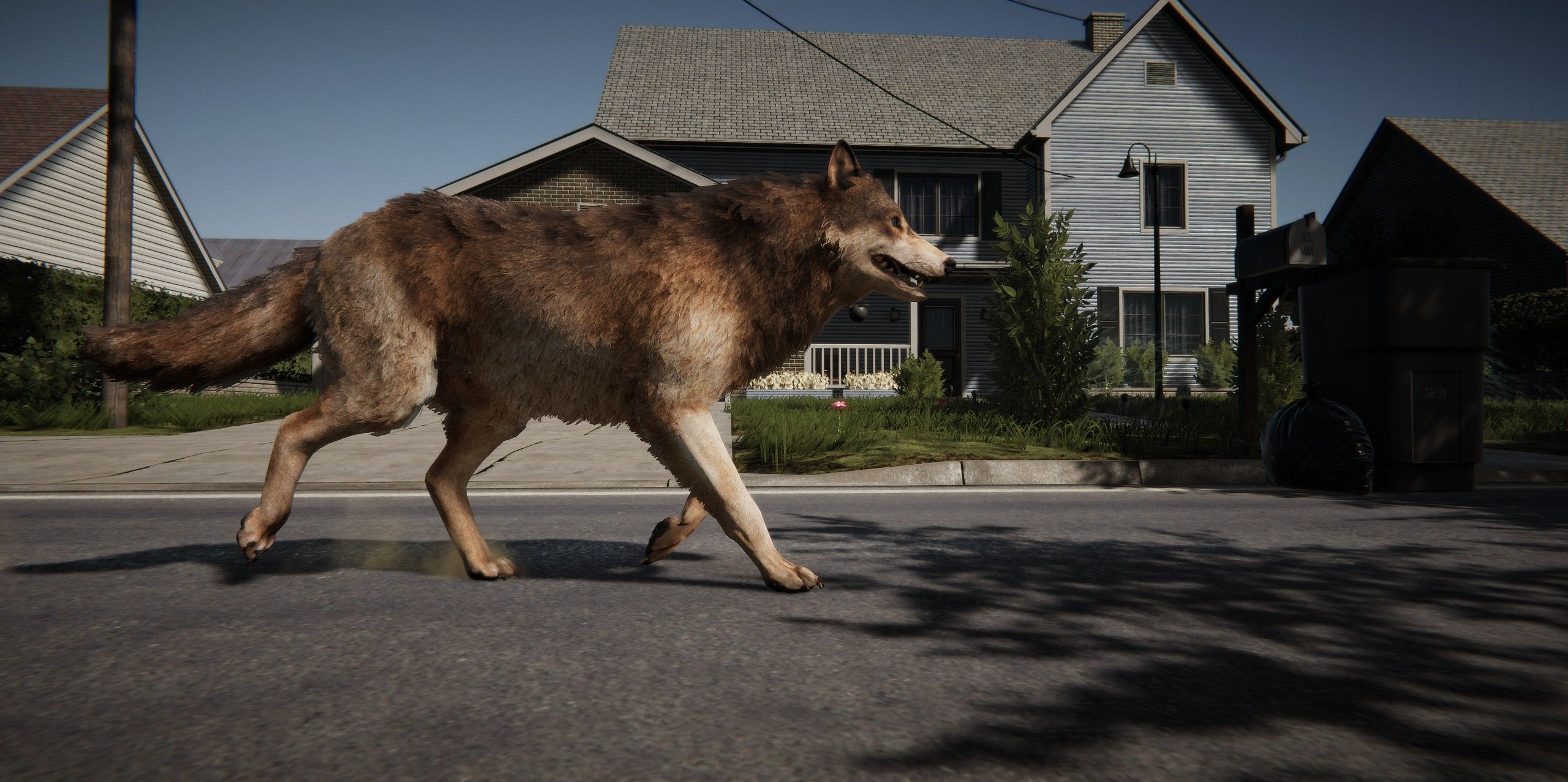 Wolf Realistic 3D model_21