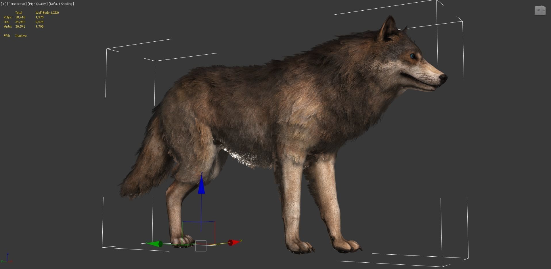 Wolf Realistic 3D model_5