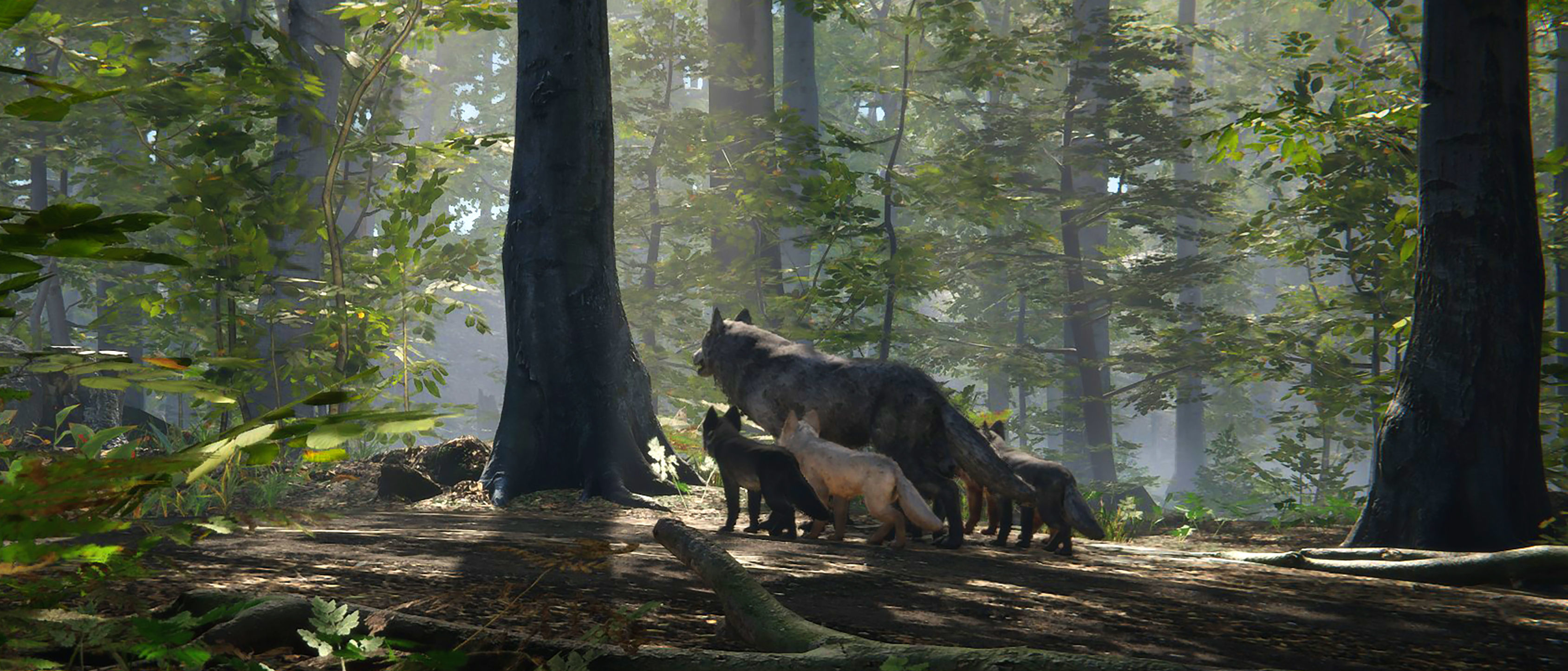 Wolf Realistic 3D model_20