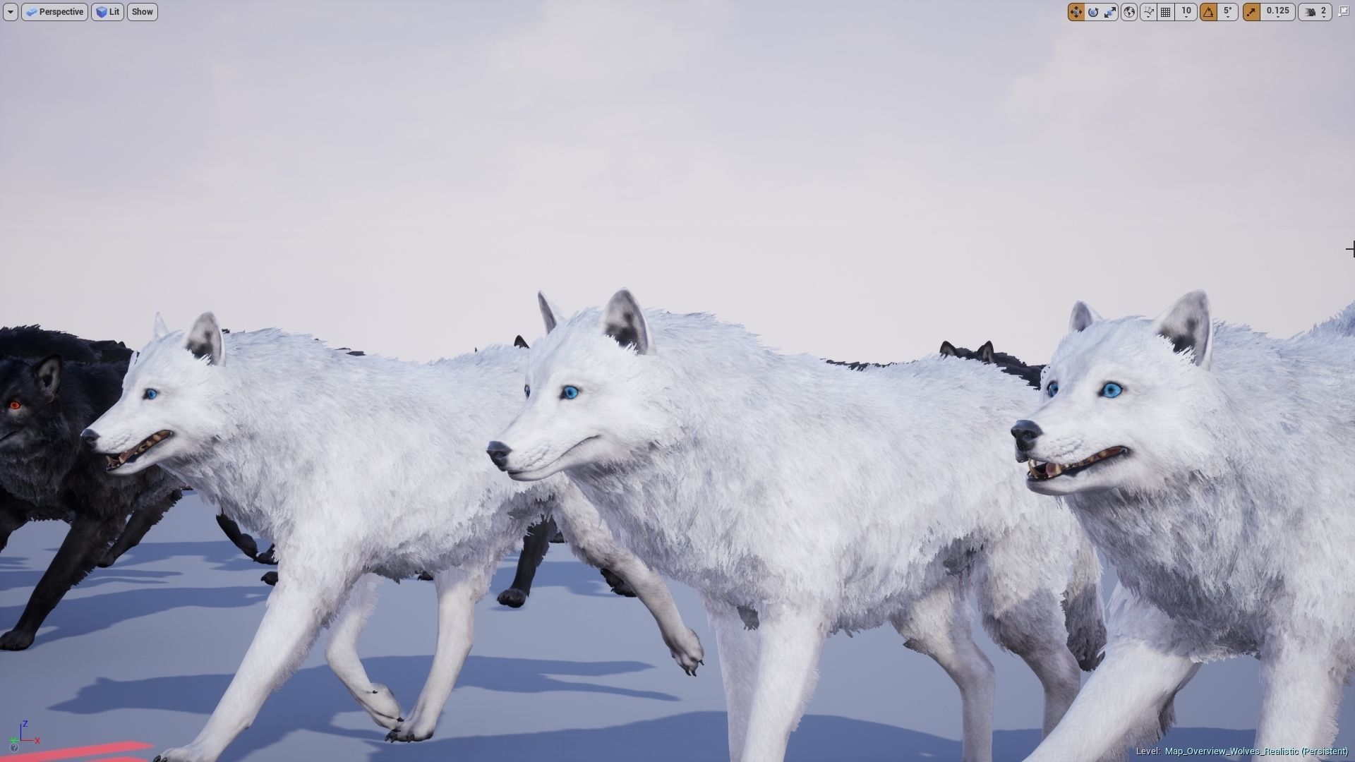 Wolf Realistic 3D model_14