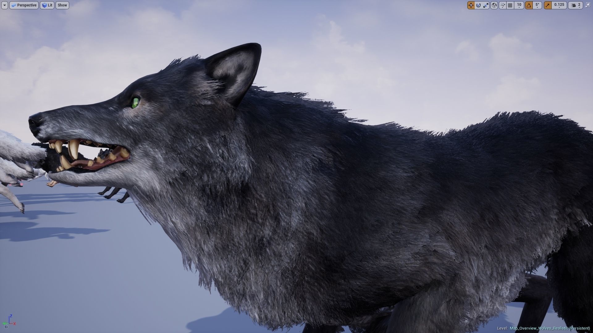 Wolf Realistic 3D model_15